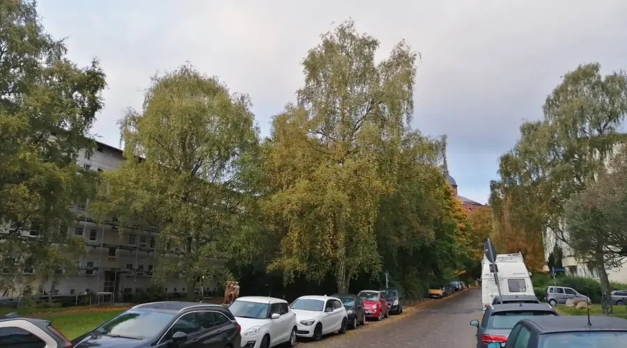 Das Foto zeigt die zugeparkte Esmarchstraße mit Blick auf den sogenannten Blumenpflücker-Park.
