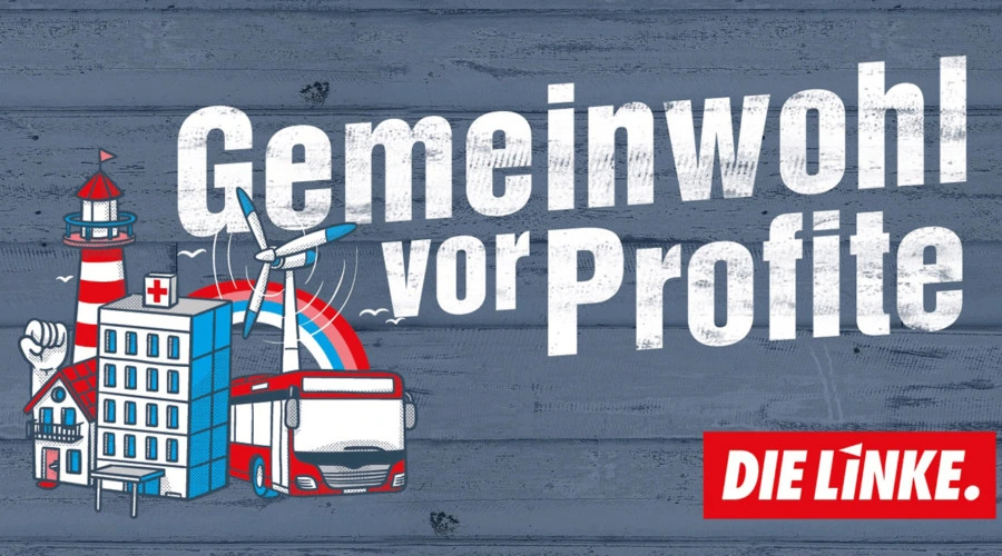 Text: Gemeinwohl vor Profite! Die Linke.