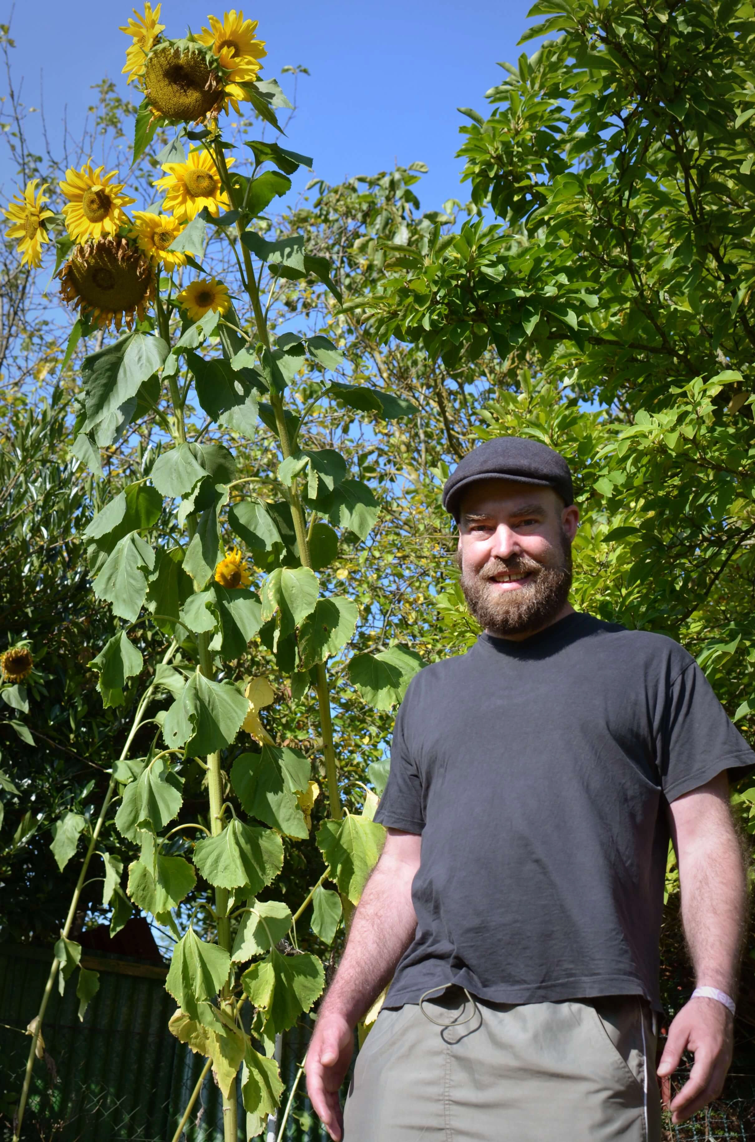 Im Vordergrund Björn Thoroe, im Hintergrund große Sonnenblumen.