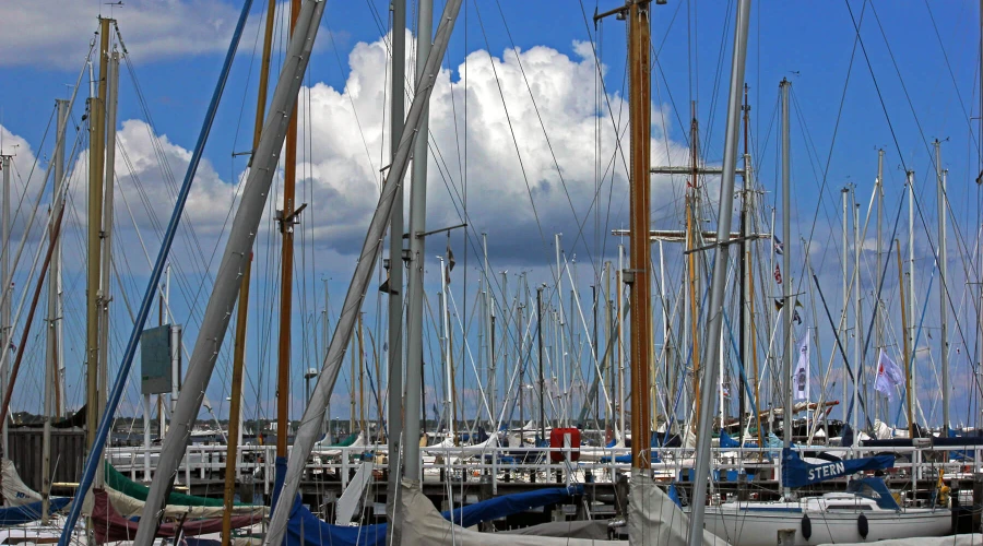 Es sind zahlreiche Mastbäume von Segelboot und Yachten in einem Kieler Yachthafen zu sehen.